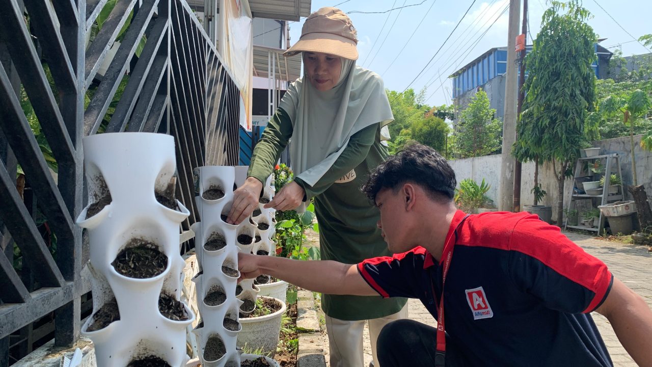 Alfamidi Medan Dorong Kesehatan Masyarakat Melalui Apotek Hidup