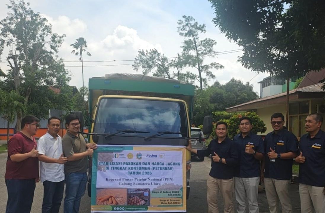 BULOG Sumut Mulai Salurkan 66 Ton Jagung SPHP untuk 6 Peternak
