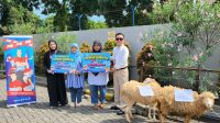 IMG-20260527-WA0101