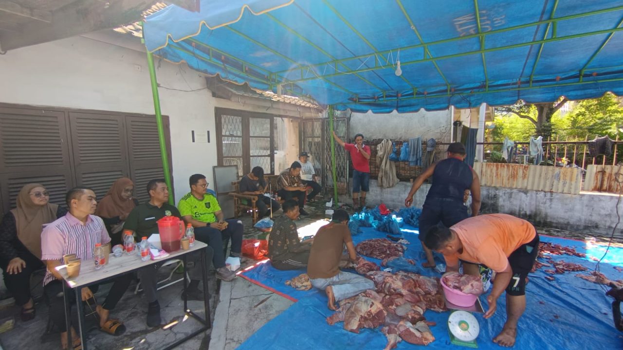 PWPM Sembelih Dua Sapi Kurban Bantuan Wali Kota Medan Rico Waas