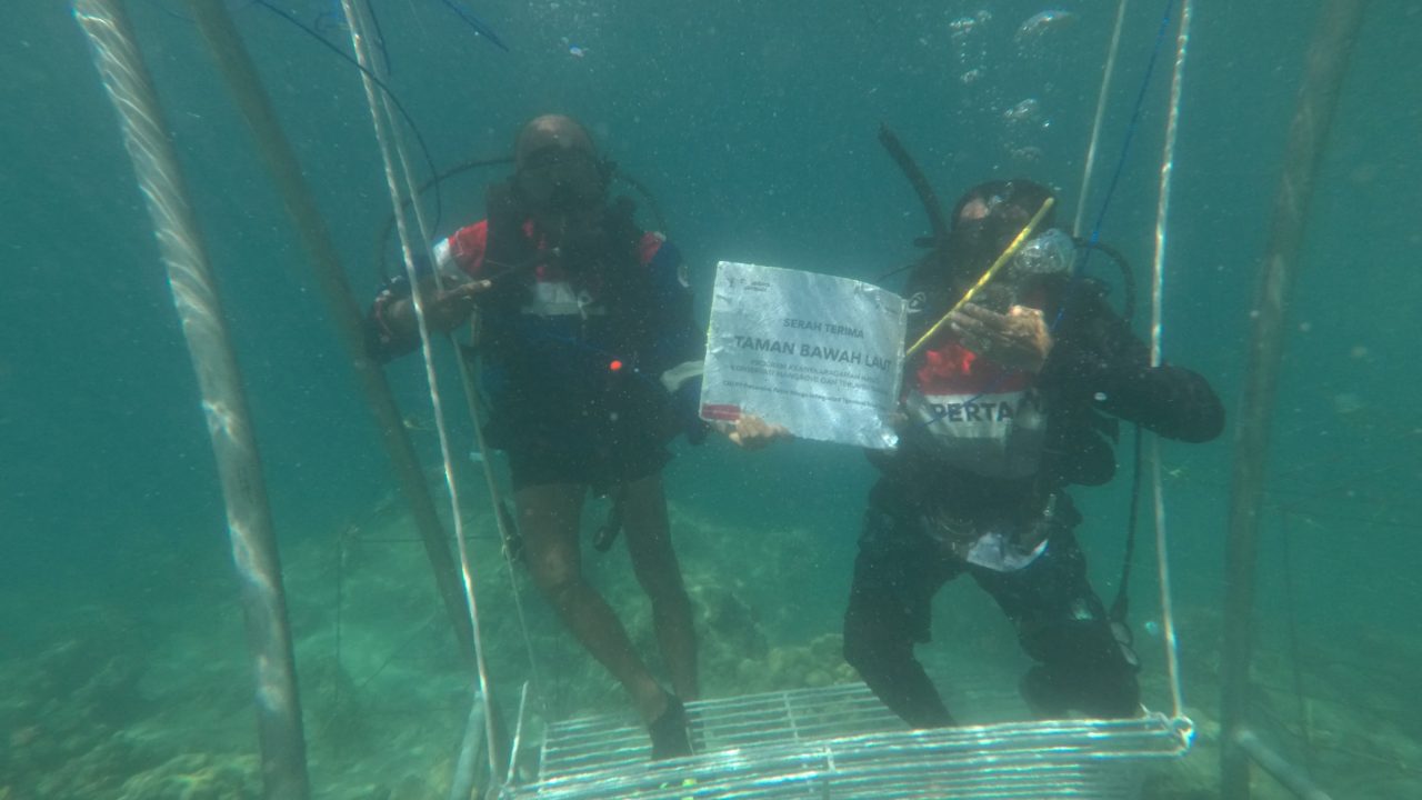 Pertamina Patra Niaga IT Teluk Kabung Laksanakan Transplantasi Terumbu Karang di Pulau Pasumpahan dalam Rangka Hari Lingkungan Hidup Sedunia