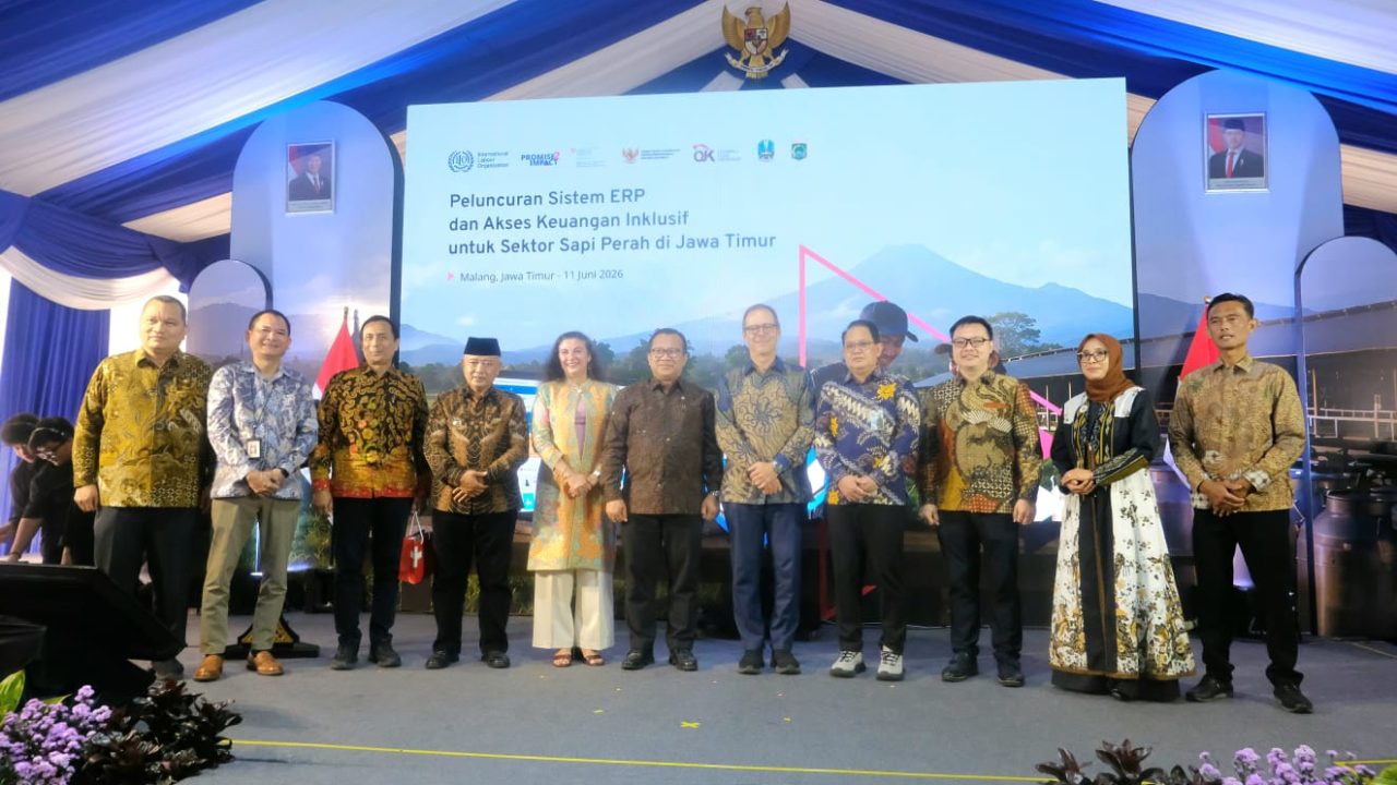 OJK dan ILO Luncurkan Sistem ERP, Permudah Akses Pembiayaan bagi Peternak Sapi Perah