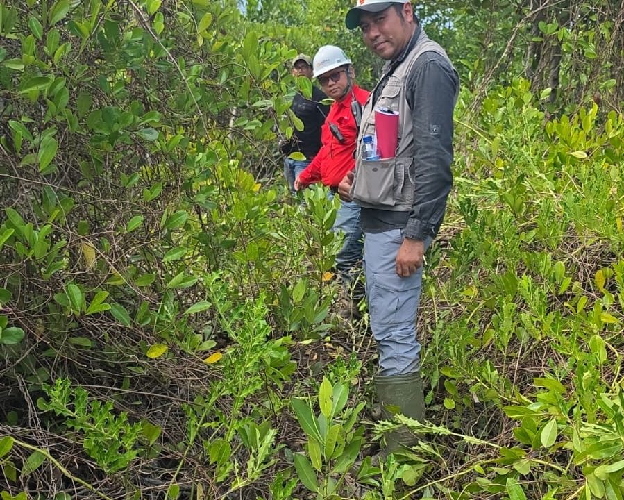 Rehabilitasi DAS PT DPM Hadirkan Manfaat bagi Lingkungan dan Masyarakat